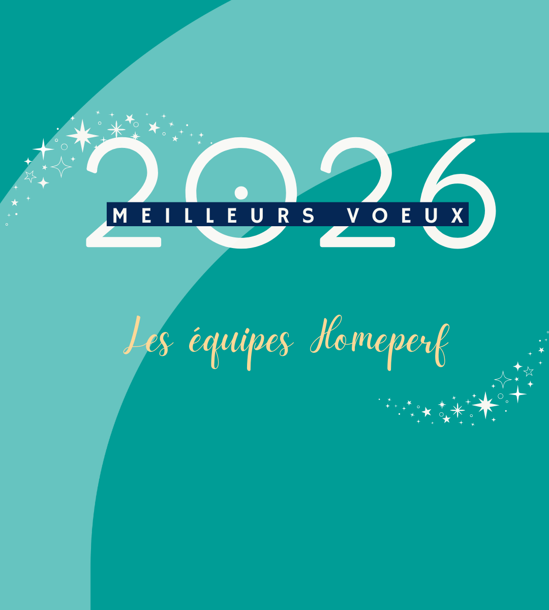 BELLE ANNEE AVEC HOMEPERF !